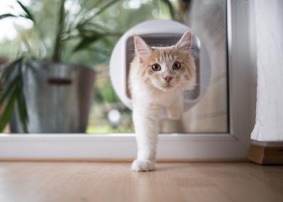 Electronic Pet Doors