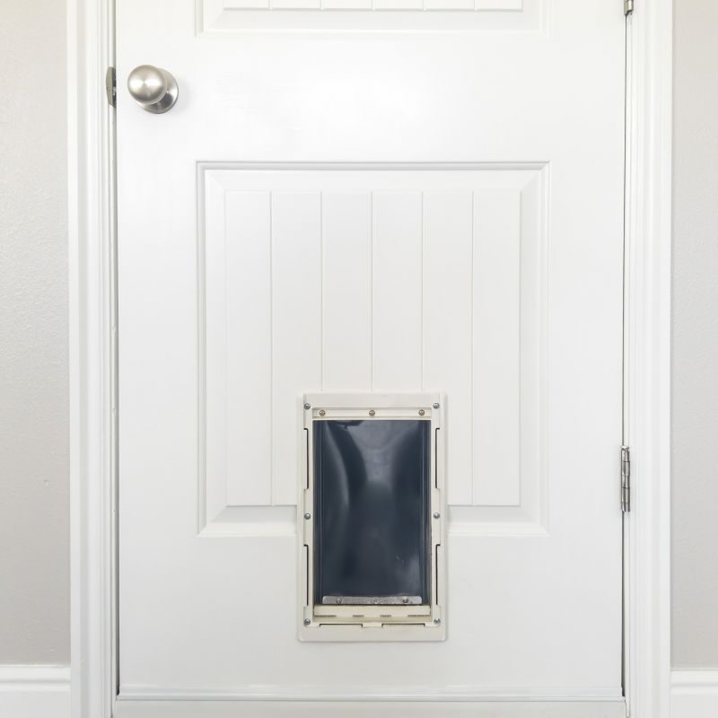Pet Door Installation