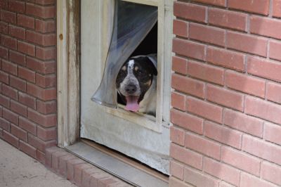 Convenience for owners